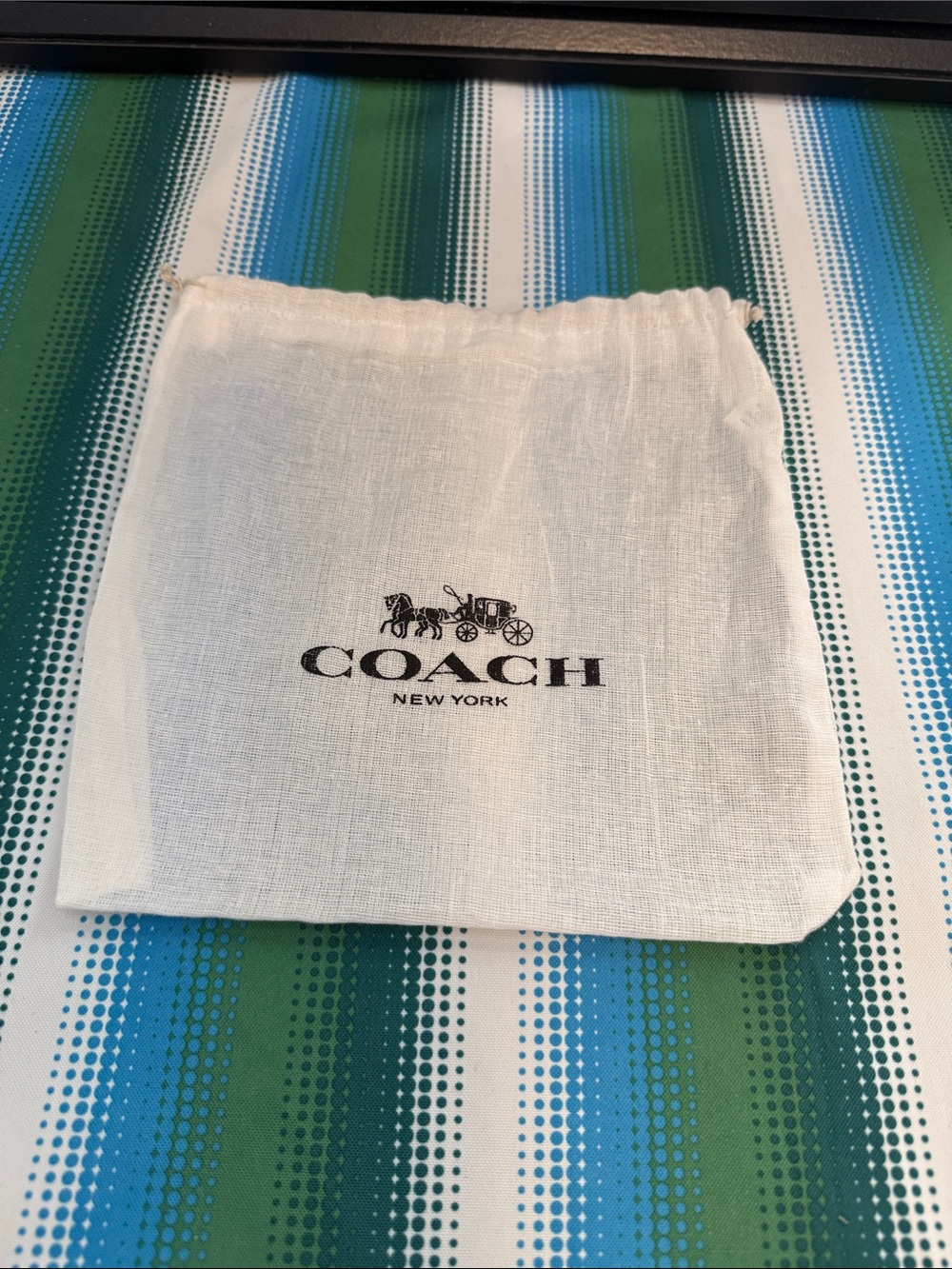Coach Dust Bag